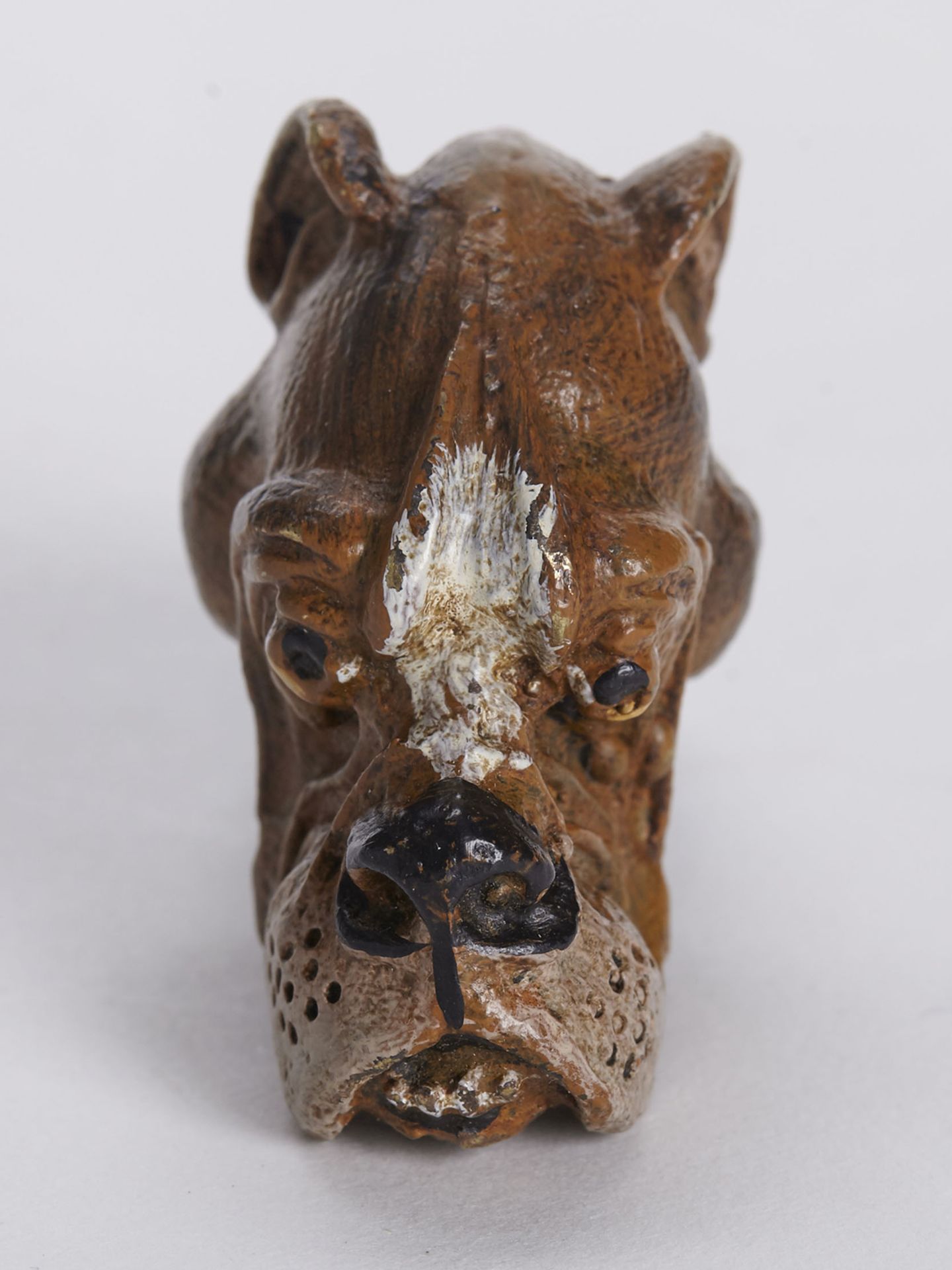 RARE COLD PAINTED BRONZE BULLDOG VESTA CASE EARLY 20TH C. - Image 3 of 6