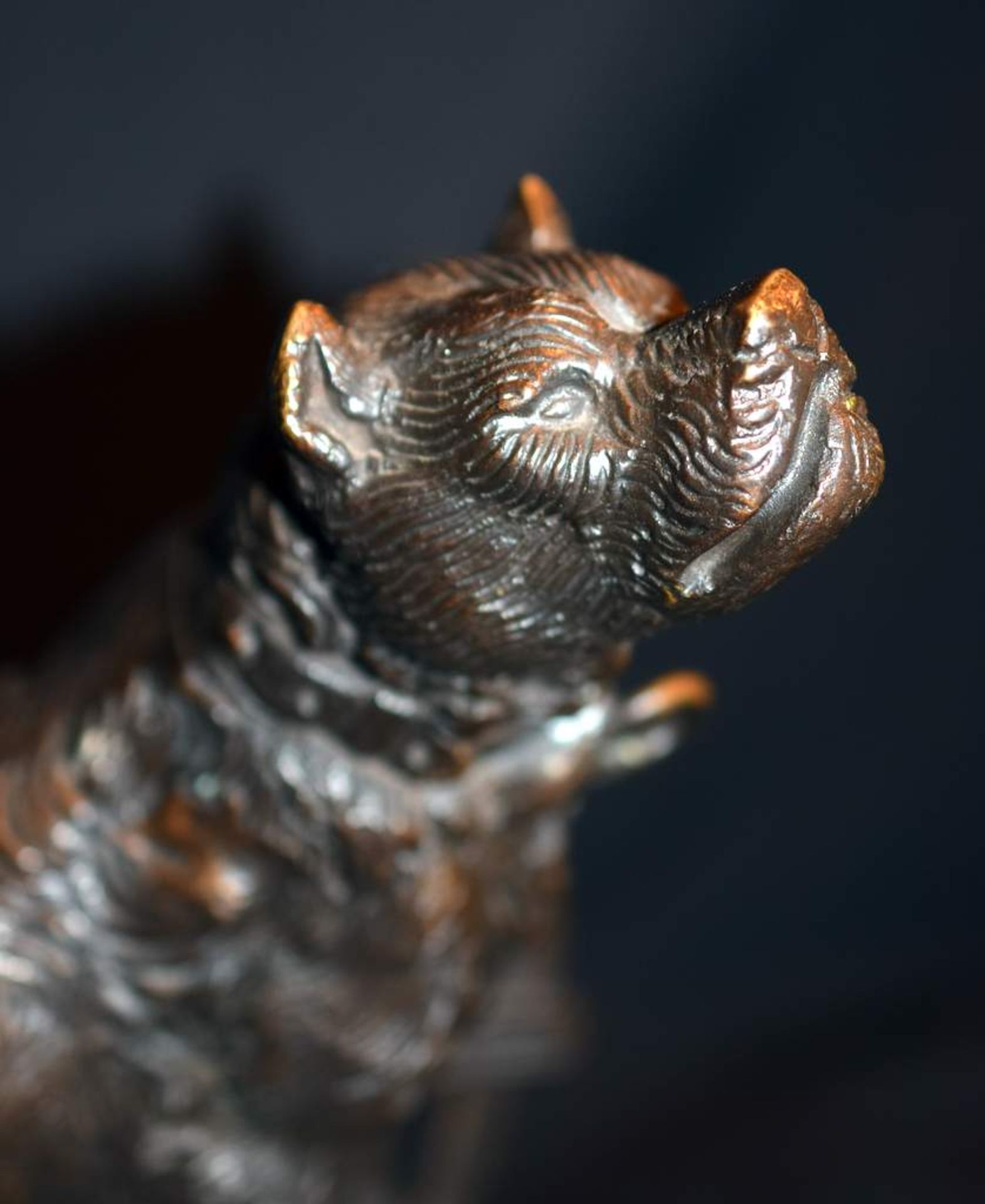 Bronze Sculpture Of Mastiff Dog Tied To Fence - Image 2 of 4