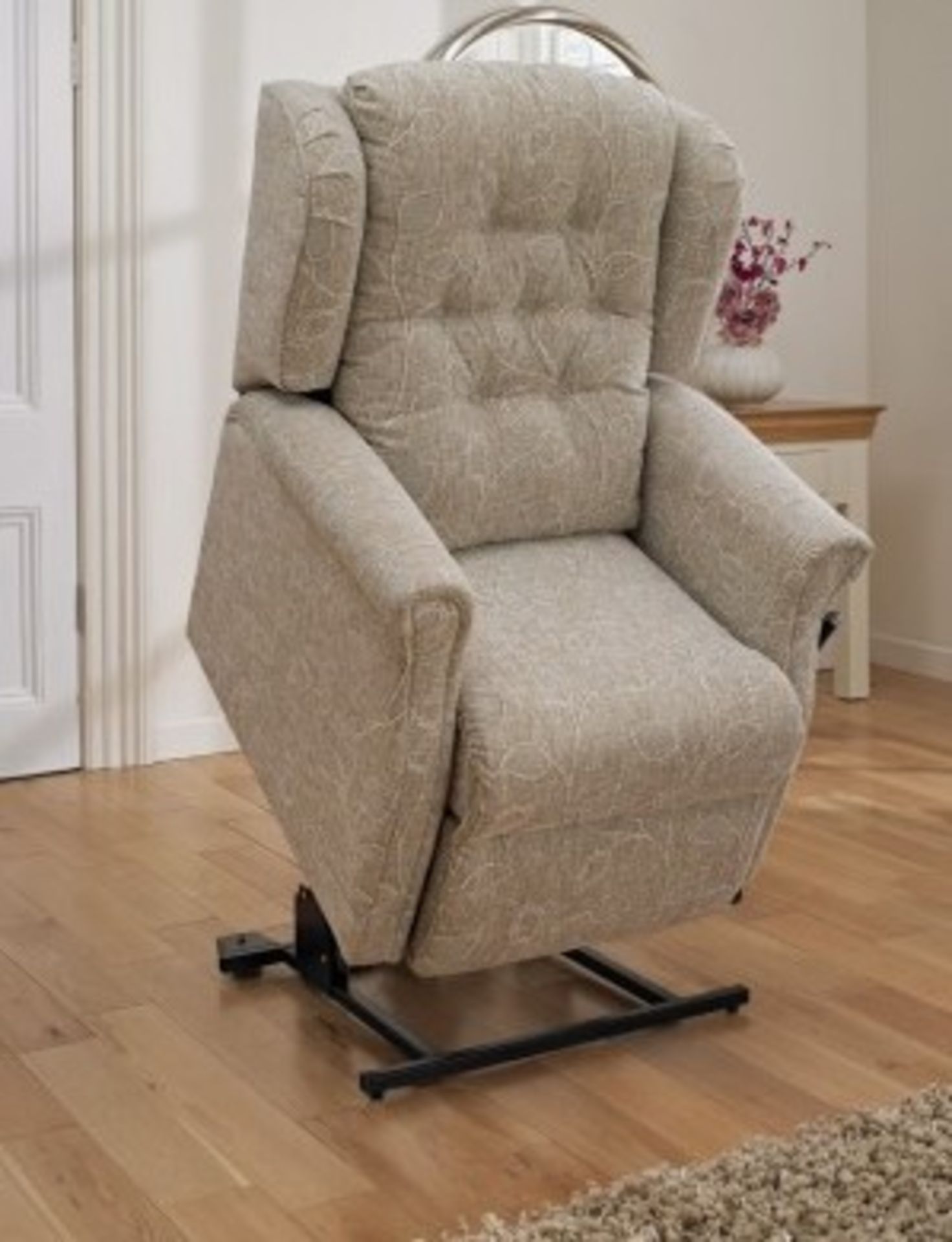 RADFORD RISE AND RECLINE ELECTRIC CHAIR