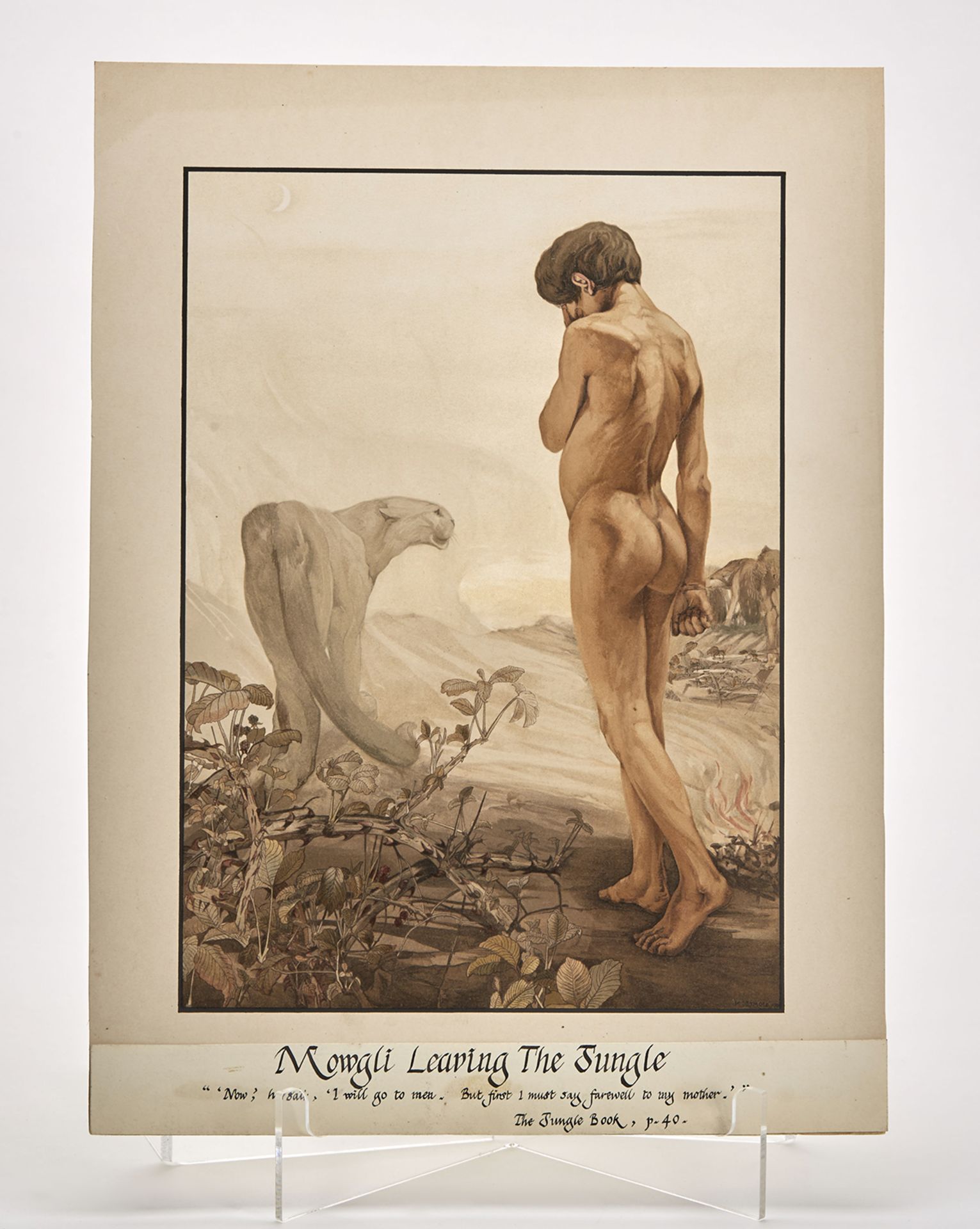 KIPLING'S JUNGLE BOOK MOCK-UP DETMOLD ILLUSTRATIONS 1903 - Image 13 of 15