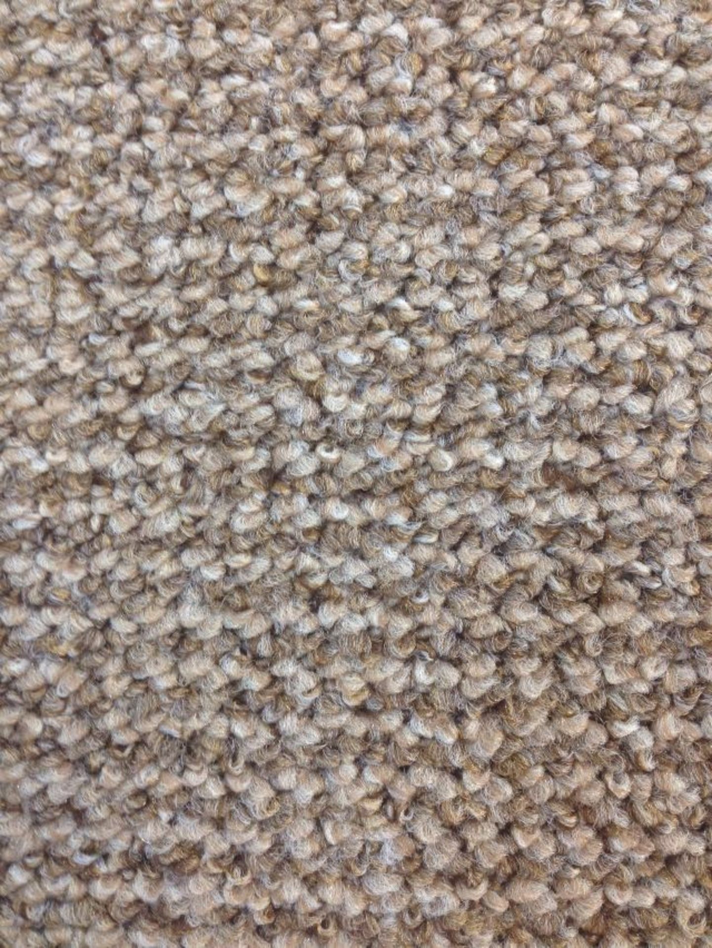 Landlords Special Heavy Domestic Budget Carpeting - Light Beige 17.5m x 4m - Total 70m2