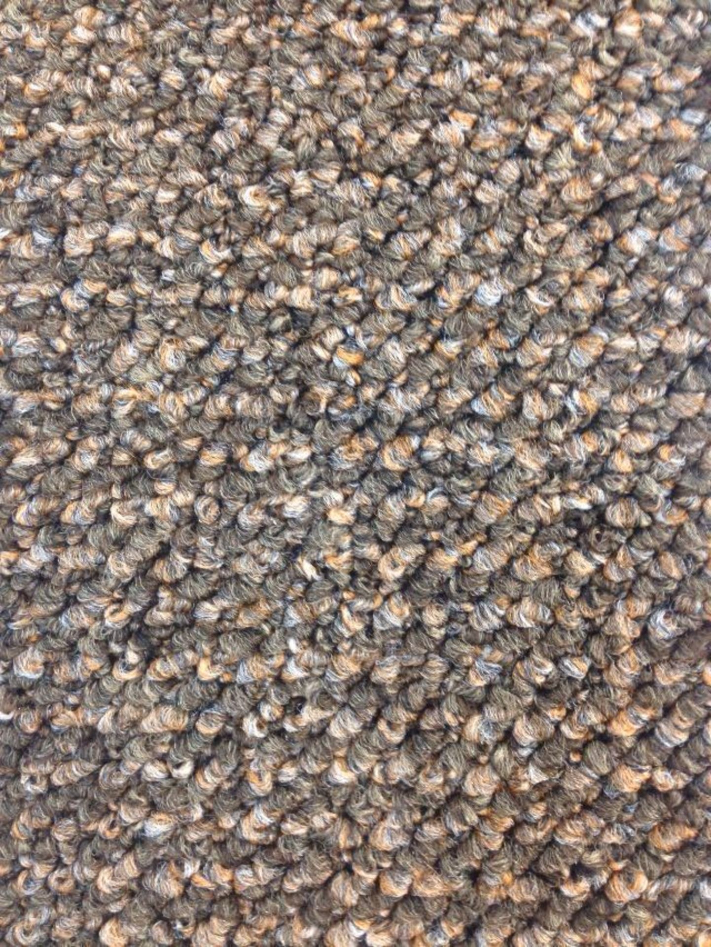 Landlords Special Heavy Domestic Budget Carpeting - Dark Beige 17.5m x 4m - Total 70m2