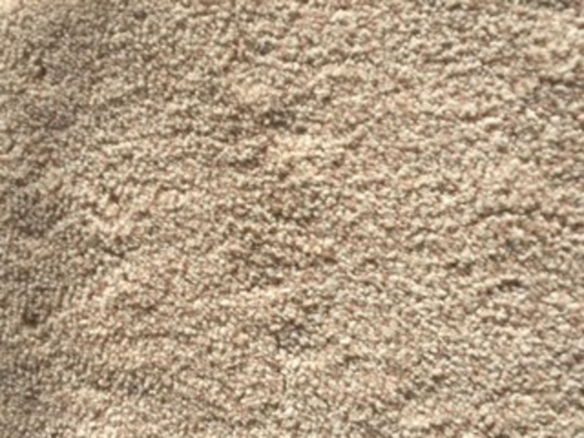 Mohawk Carpet - Summer Straw Mohawk has innovated the softest, most family-friendly and pet-friendly