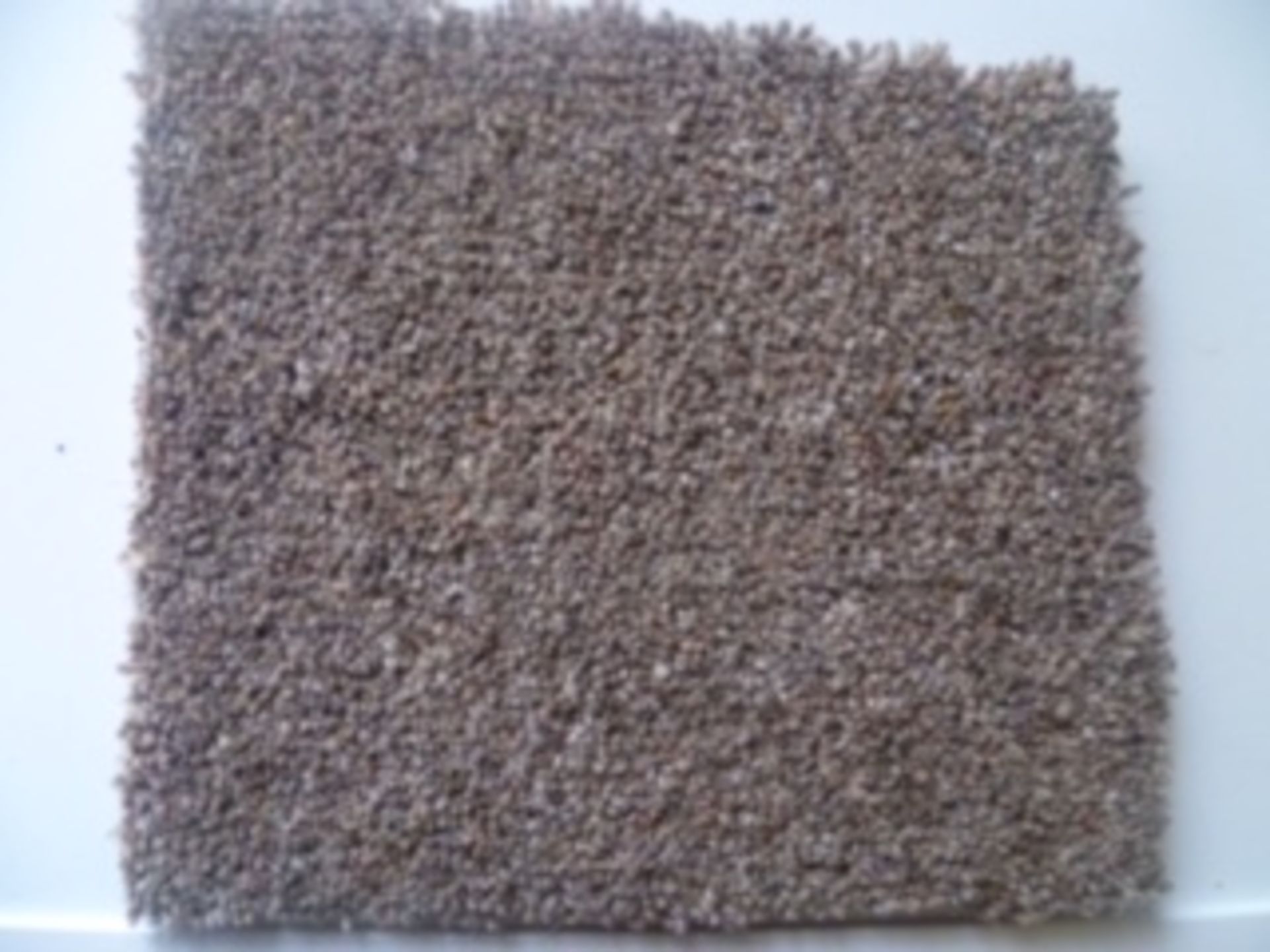 Mohawk Carpet - Walnut Shell Mohawk has innovated the softest, most family-friendly and pet-friendly