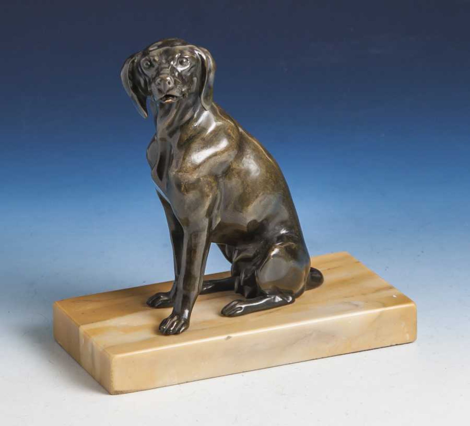 Bronzefigur, wohl um 1900, feine Ausformung (ohne Sign.), Darst. DeutscherKurzhaarjagdhund, sitzend,