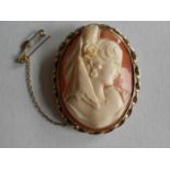 A shell cameo brooch depicting the head and shoulders of a lady, 43mm x 33mm, yellow mille grain