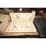 A Set of three coloured prints framed as one, bird