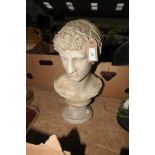 A Plaster classical bust of a male Roman.
