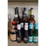 WINES & SPIRITS - 18 various bottles, to include Prince Charles Edwards liqueur Drambuie,