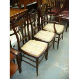 Four Edwardian mahogany salon chairs each with a pierced splat back (2 + 2 )