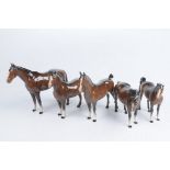 A Collection of Beswick figures All bay horses, various model numbers, all gloss.