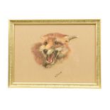 S Irvine, British School, 20th Century, 'Snarling fox' Pastel on paper, framed and glazed, signed,