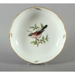 TIEFE SCHALE, polychrom bemalt, Vogel- und Insektendekor, Goldrand, Form Ozier, Dm 24,5, MEISSEN,