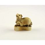 NETSUKE, Elfenbein, auf einem hohen Sockel Hündchen mit Ringelschwänzchen und Halsband, fein