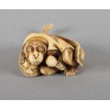 NETSUKE GAUKLER-AFFE MIT WELS, Elfenbein, schöne gold-gelbe Gebrauchspatina, dunkel akzentuiert, auf