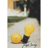 BEUYS, Joseph, "Capri - Batterie", Farbmultiple (Postkarte), 14,5 x 10,5, 1985, handsigniert, R.