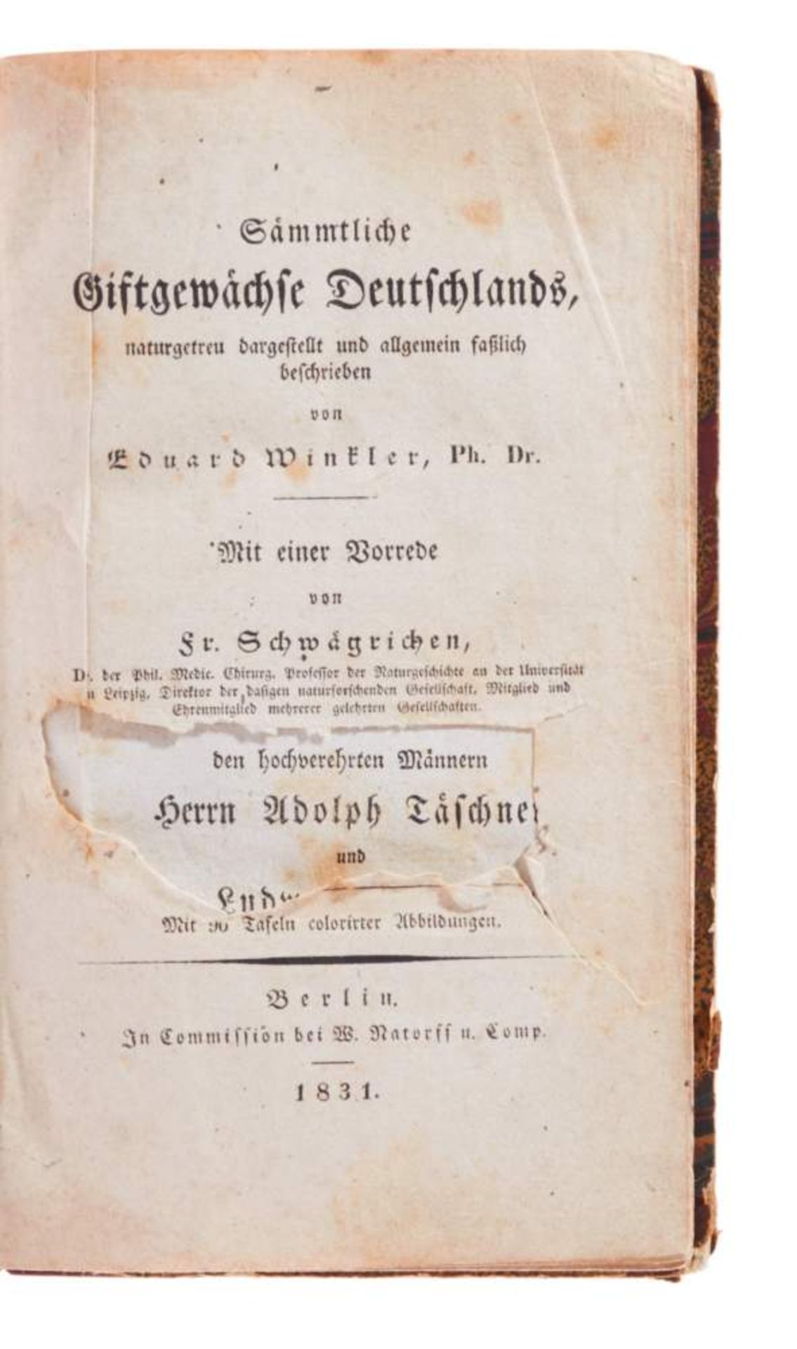 Winkler, E., Sämmtliche Giftgewächse Deutschlands. Berlin, Natorff, 1831. Mit 96 kolor. lithogr. - Bild 2 aus 5