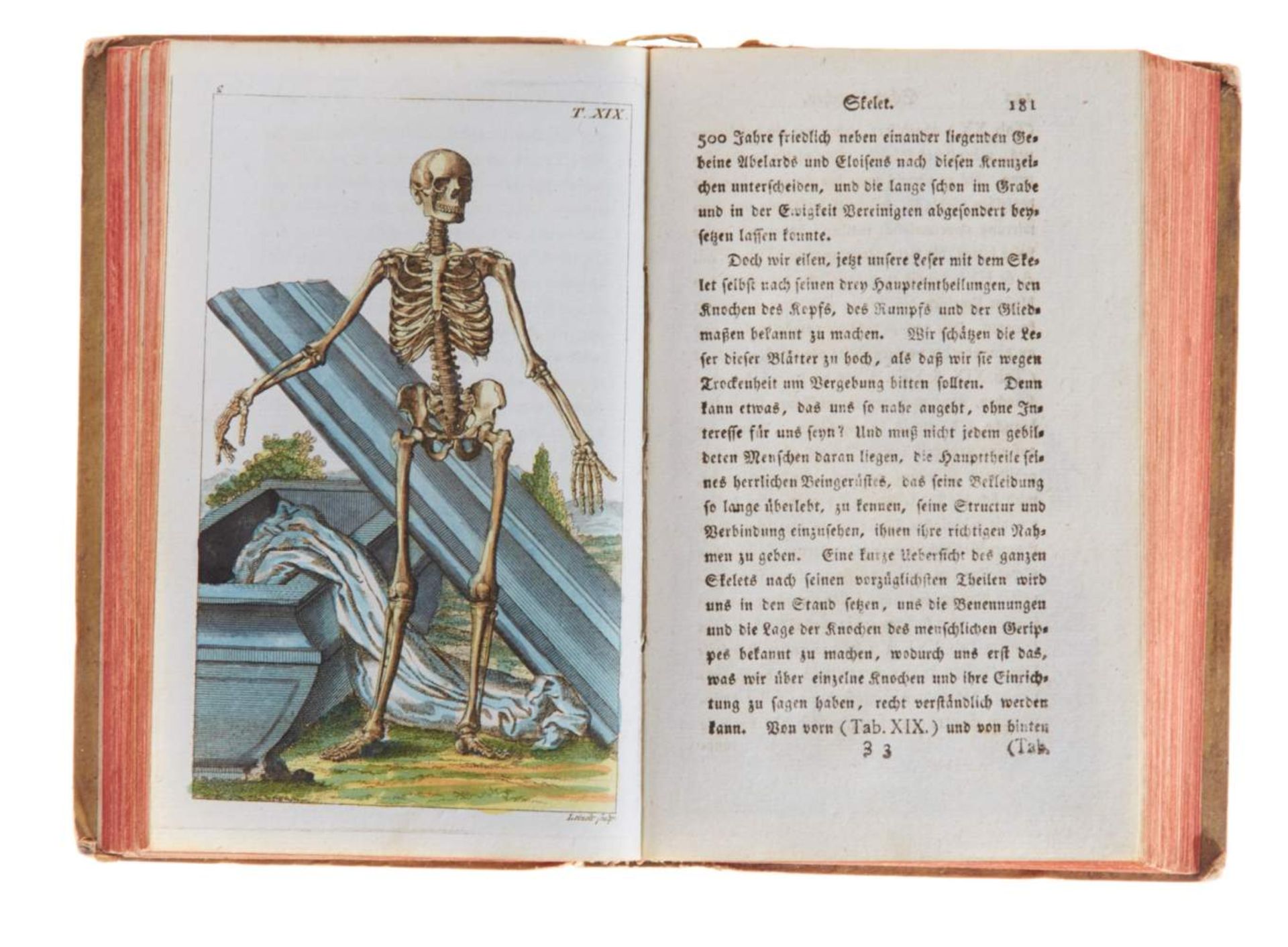 Wilhelm, G. T., Unterhaltungen über den Menschen. Tl. II (von 3). Augsburg, Engelbrecht, 1805. Mit - Bild 6 aus 6