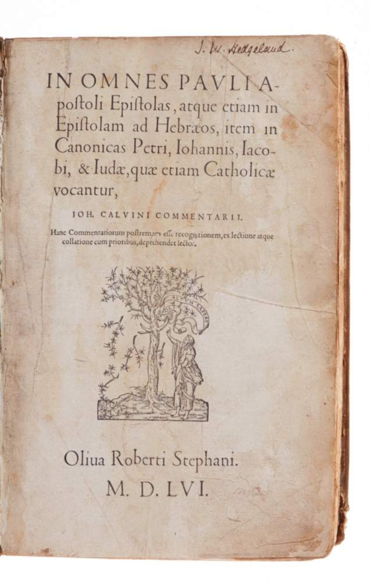 Calvin, J., In omnes Pauli apostoli epistolas, atque etiam in epistolam ad Hebraeos, item in - Bild 2 aus 3