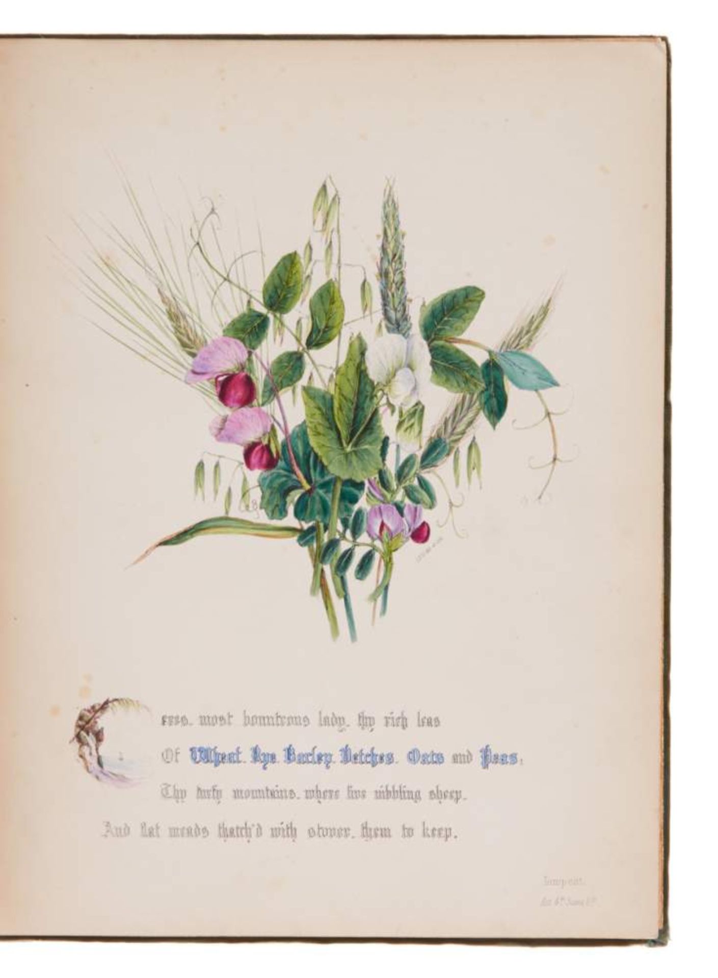 (Giraud, Jane Elizabeth), The Flowers of Shakspeare. (London), Day & Haghe, (1845). 4°. Kolor. - Bild 3 aus 4