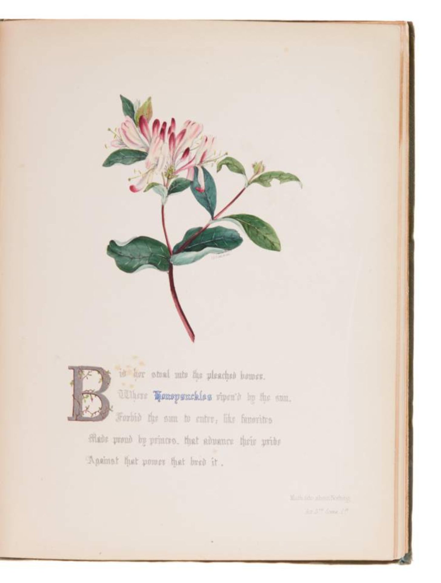 (Giraud, Jane Elizabeth), The Flowers of Shakspeare. (London), Day & Haghe, (1845). 4°. Kolor. - Bild 4 aus 4