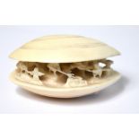 A late c1900 carved clam shell in ivory,