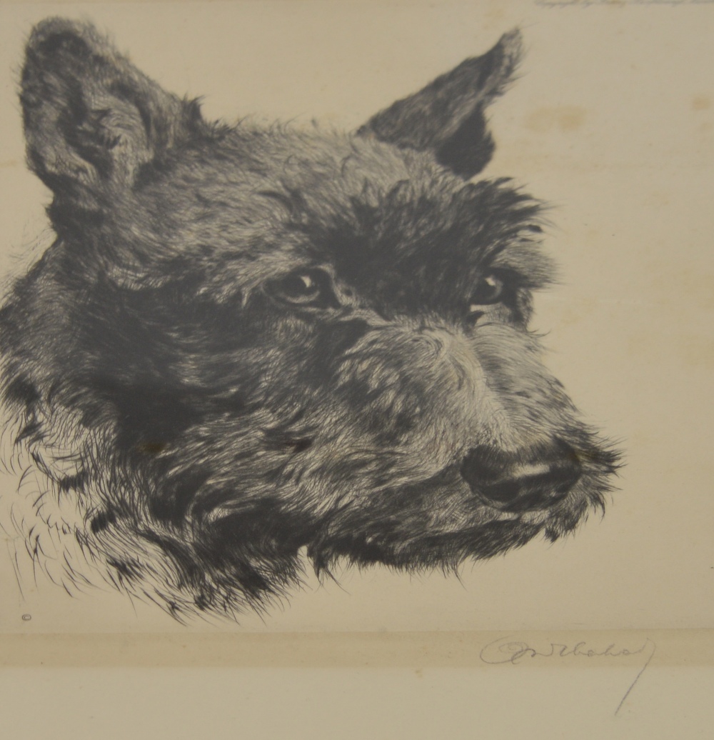 CURT MAYER-EBERHARDT; drypoint etching 'Scotch', signed in pencil lower-right,