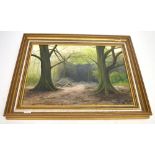 UNATTRIBUTED; oil on board, woodland scene, initialled lower-right EP-86, 30 x 39cm, framed.