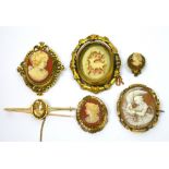 Four various cameo brooches,