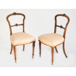 A pair of Victorian walnut saloon chairs with upholstered seats and carved backs,