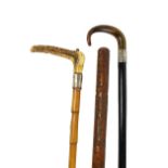 A late Victorian white metal collared horn handled and ebonised walking stick, length 85cm,