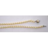 A string of cultured pearls with a silver floral-shaped clasp, length 65cm.