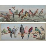 AFTER HARRY BRIGHT; a pair of early 20th century prints of birds,