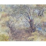 DERRICK JENNINGS; oil on board 'Glade', titled verso and signed lower right, 39 x 51cm, framed.