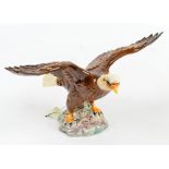 A boxed Beswick model of 'Bald Eagle', model no. 1018.