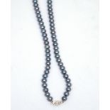 A grey-blue Japanese Akoya cultured pearl necklace with a 9ct white gold clasp,