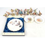 A collection of Royal Worcester birds to include 'Kingfisher', 'Gold Crest', 'Blue Tit',