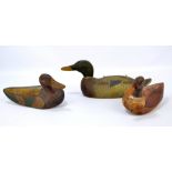 Three painted wooden decoy ducks, the longest 40cm (3).