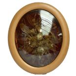 A Victorian dried flower arrangement against red velvet backing under convex glass in oval frame,