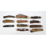 A collection of eleven early 20th century horn bodied pen knives including triple bladed examples