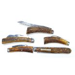 A group of five antler bodied pocket knives, one with owner's plaque inscribed 'P.P.J.