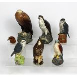 A collection of six Royal Doulton Scotch whisky decanters; 'Kestrel', 'Buzzard', 'Merlin',