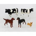 Beswick; two glazed ceramic cows, a Rottweiler, Setter and Corgi (5).