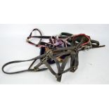 Equestrian interest; four bridles in varying sizes and colours, some with bits, some without.