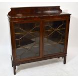 An Edwardian mahogany display cabinet with a pair of astragal glazed doors enclosing three shelves