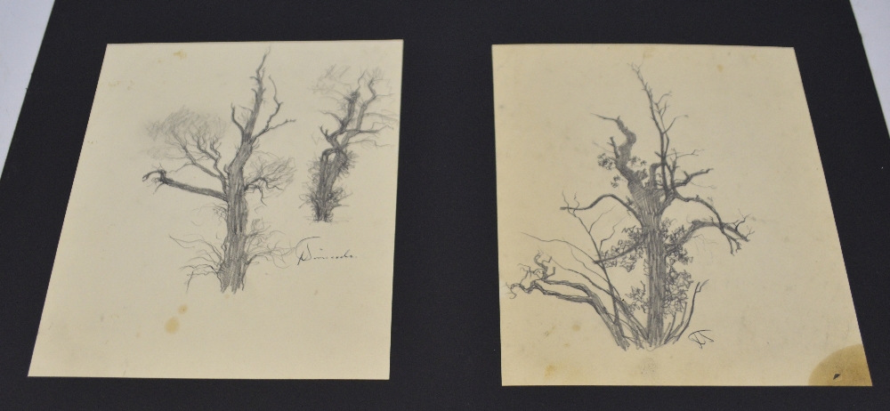 JACK SIMCOCK (1929-2012); pencil sketches, two studies of trees, signed and initialled lower right,