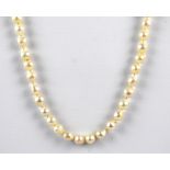 A string of cultured pearls with a 9ct yellow gold simple clip clasp, length 47cm.