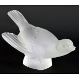 LALIQUE; a frosted clear glass figure of a sparrow, scratched signature to base, length 13cm.