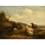 Anonym 19. Jh. "Ziege und Schafe". Oel auf Holz. Unsigniert. Gerahmt. Bildmasse 25 cm × 34 cm