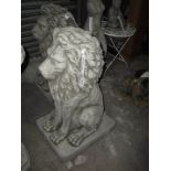 Concrete lion